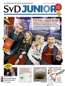 Svenska Dagbladet Junior