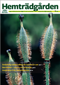 Hemträdgården