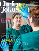 Chefen i Fokus