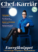 Chef & Karriär